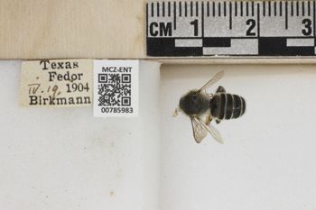 Media type: image;   Entomology 785983 Aspect: Labels